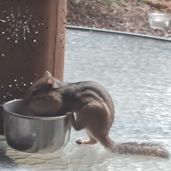 Clothing, Accessories And HomeGoods - Picture 2 of 4